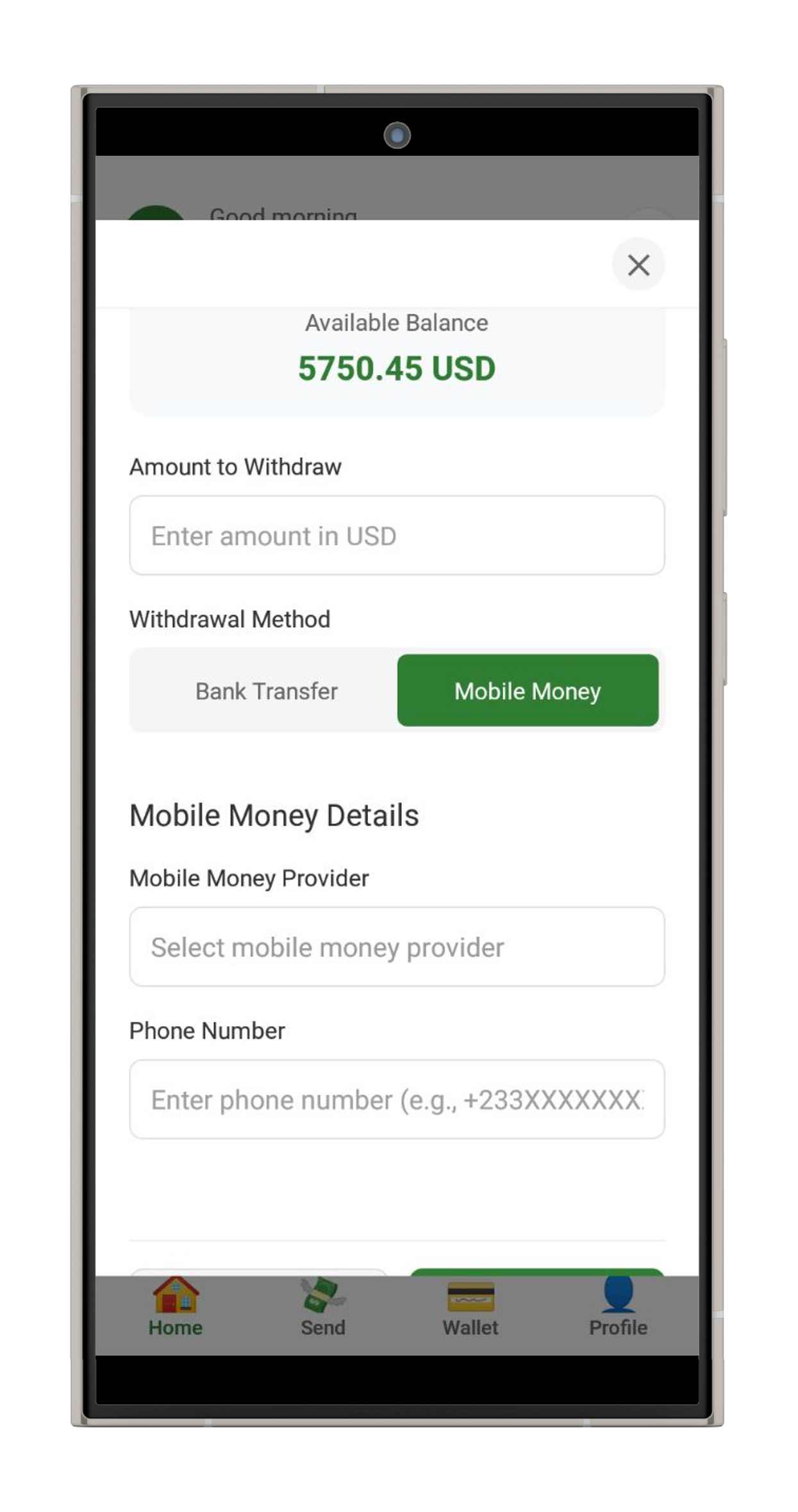 Financial dashboard interface