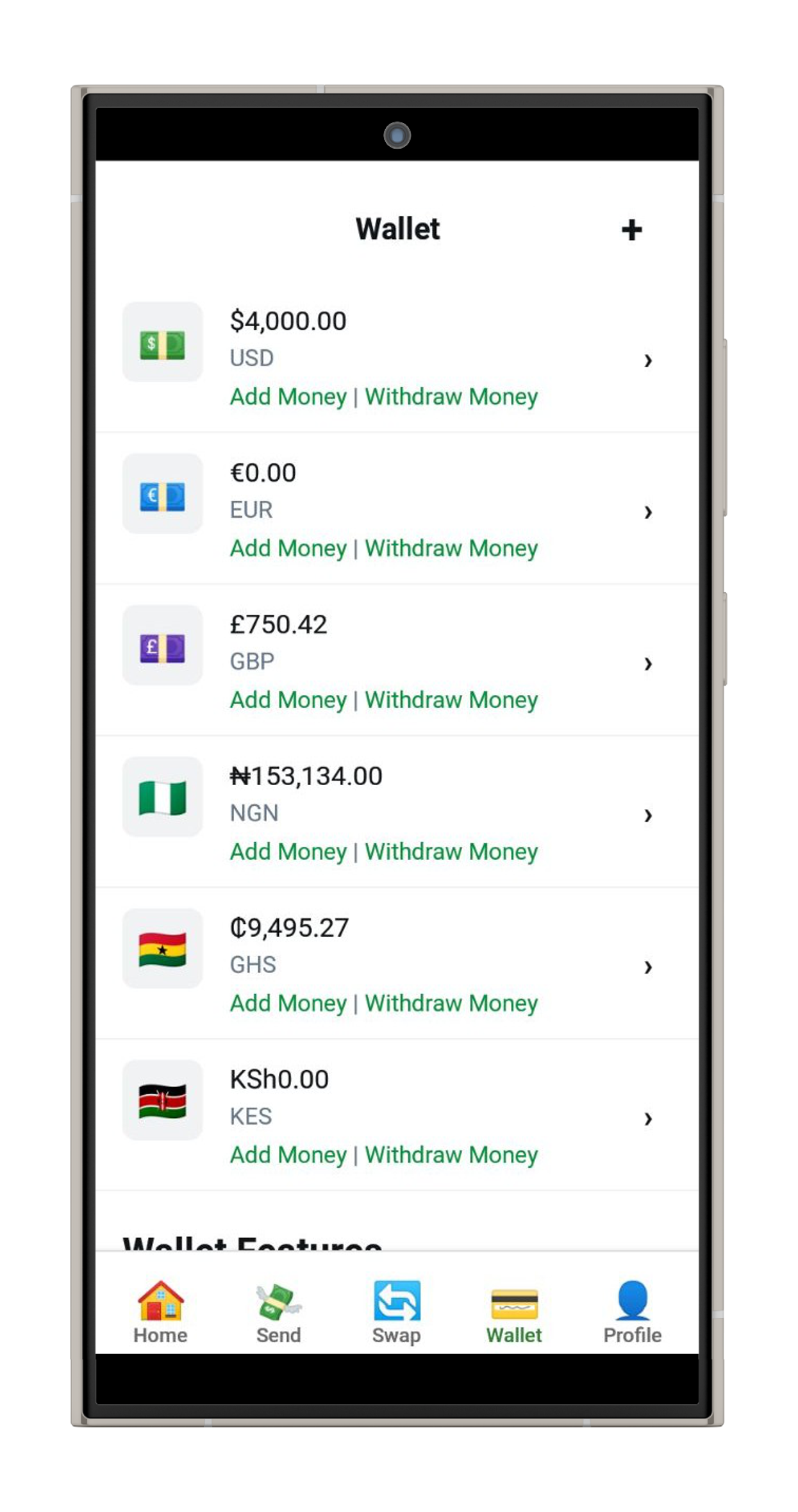 Multicurrency wallet interface